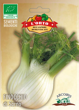 Sap203 - Finocchio di Sarno