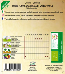 Sap223 - Cicoria Variegata di Castelfranco - 2