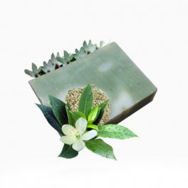 Sapone Naturale Canapa e Tea Tree - 2