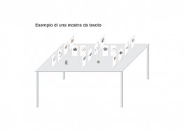 Sassi Animati — Libro/Gioco - 7