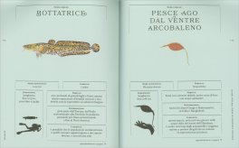 Scaglie — Libro - 3