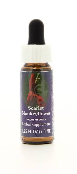 Scarlet Monkeyflower - Fiori californiani - 1