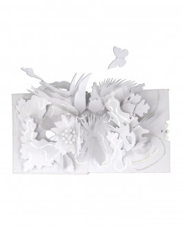Scia — Libro - 3