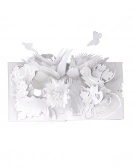 Scia — Libro - 4