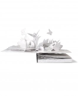 Scia — Libro - 5
