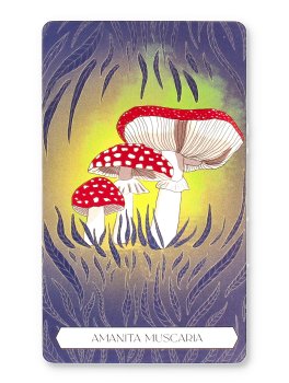 Sciamani. Oracolo con Carte - 5