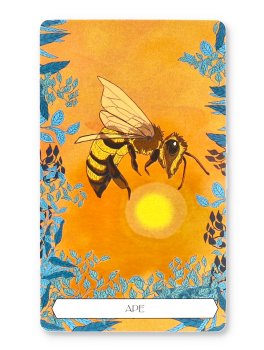 Sciamani. Oracolo con Carte - 4