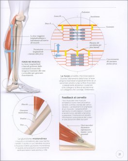 Scienza dello Strenght Training — Libro - 3
