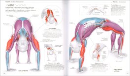 Scienza dello Yoga — Libro - 3