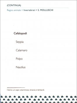 Scienze al Volo — Libro - 4