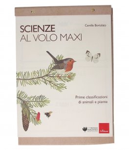Scienze al Volo Maxi — Libro - 2