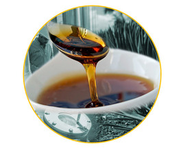 Sciroppo di Agave - Tanica - 4