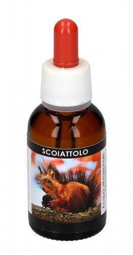 Scoiattolo - Acqua Vibrazionale