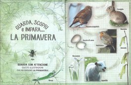 Scopriamo la Natura — Libro - 3