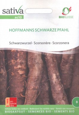 Semi di Scorzanera Hoffmanns Schwarze Pfahl - 1