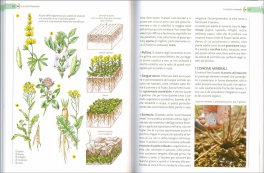 Scuola di Giardinaggio — Libro - 3
