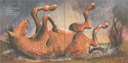 Se Fossi un Cavallo — Libro - 3