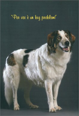 Se mi Dici No — Libro - 2