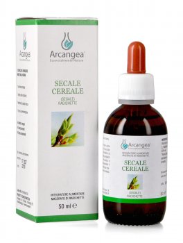 Secale Cereale - 2