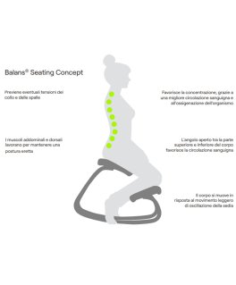 Sedia Variable™ Soft in Legno Chiaro - 7