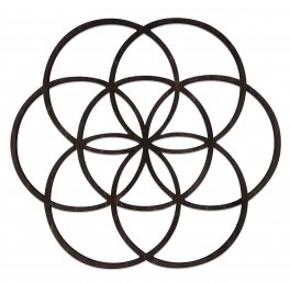 Seed of Life - Seme della Vita in Legno di betulla - 2