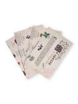 Segreti e Rimedi di Ildegarda di Bingen — Libro - 6