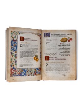 Segreti e Rimedi di Ildegarda di Bingen + Kit di Erbe per l'Amaro Svedese — Libro - 8