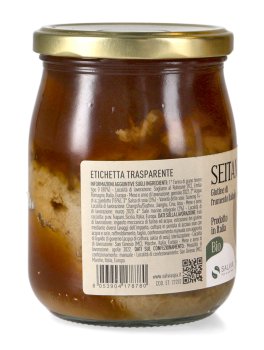 Seitan Bio - 3