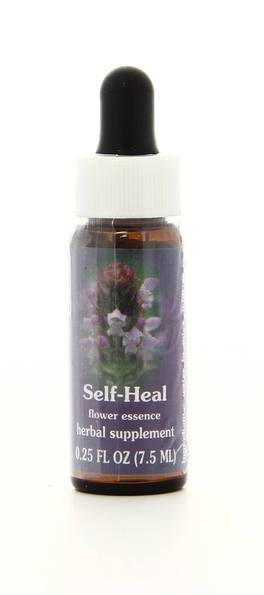 Self-heal - Fiori californiani - 1