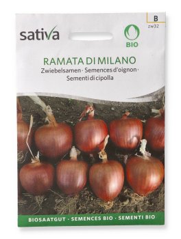 Sementi di Cipolla Rumata di Milano - 1