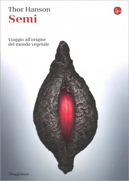 Semi — Libro - 1