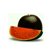 Semi di Anguria Sugar Baby