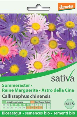 Semi di Astro della Cina - 1
