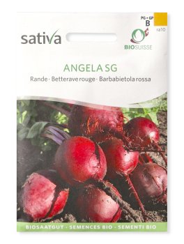 Semi di Barbabietola Rossa Angela SG - 1