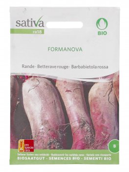 Semi di Barbabietola Rossa Formanova - 1