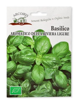 Semi di Basilico Aromatico della Riviera Ligure Bio - 2
