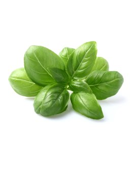 Semi di  Basilico Classico Bio - 1