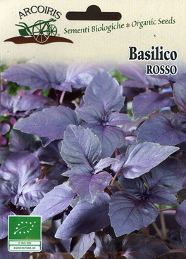 Semi di Basilico Rosso Bio - 2