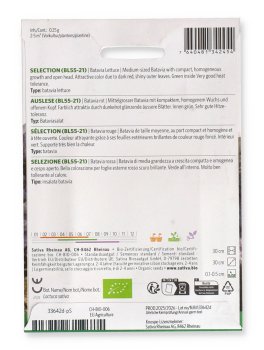 Semi di Batavia Rossa Colombina - 2