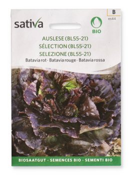 Semi di Batavia Rossa Colombina - 1