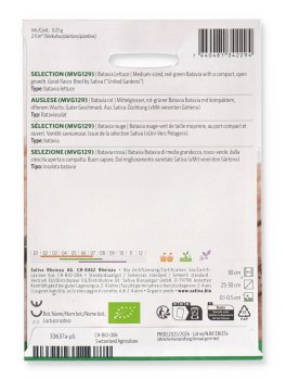 Semi di Batavia Rossa Selezione - 2