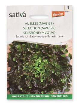 Semi di Batavia Rossa Selezione - 1