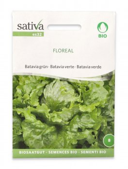 Semi di Batavia Verde Bio - Floreal - 1