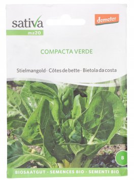 Semi di Bietola Compacta Verde - 1