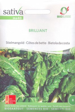 Semi di Bietola da Costa - Brilliant - 1