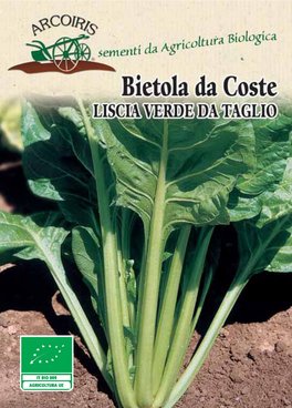 Semi di Bietola da Coste Liscia Verde da Taglio Bio - 1