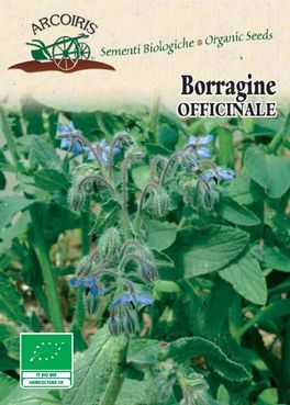 Semi di Borragine Officinale Bio - 2