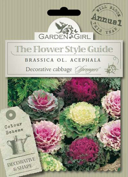 Semi di Brassica Ol. Acephala - Decorative Cabbage Sprengeri