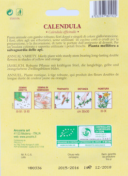 Semi di Calendula Officinalis Bio - 2