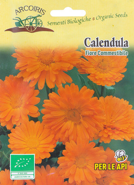 Semi di Calendula Officinalis Bio - 1